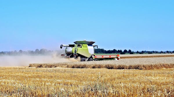 Investicija į derlių: kaip kompleksinės trąšos padeda optimizuoti ūkio sąnaudas?