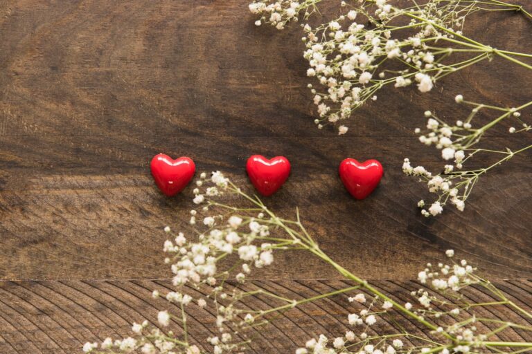 plants-with-flowers-near-set-ornament-little-vinous-hearts_23-2148021149