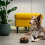 ayla-verschueren-jnq52JjkLAg-unsplash