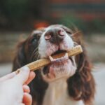 james-lacy-xe_MtM-ixlw-unsplash