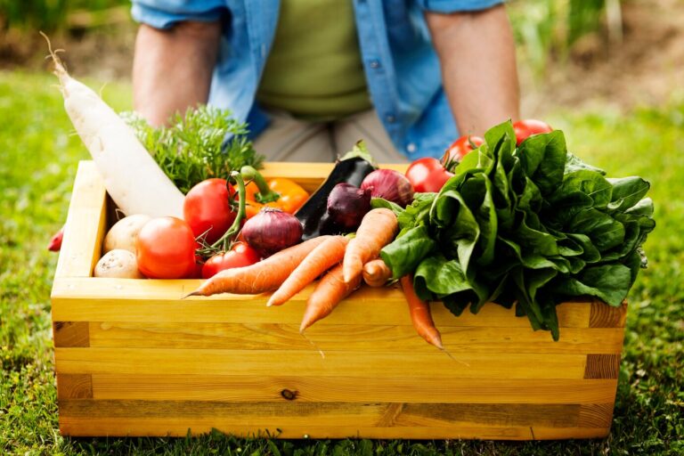 wooden-box-filled-fresh-vegetables_329181-8749