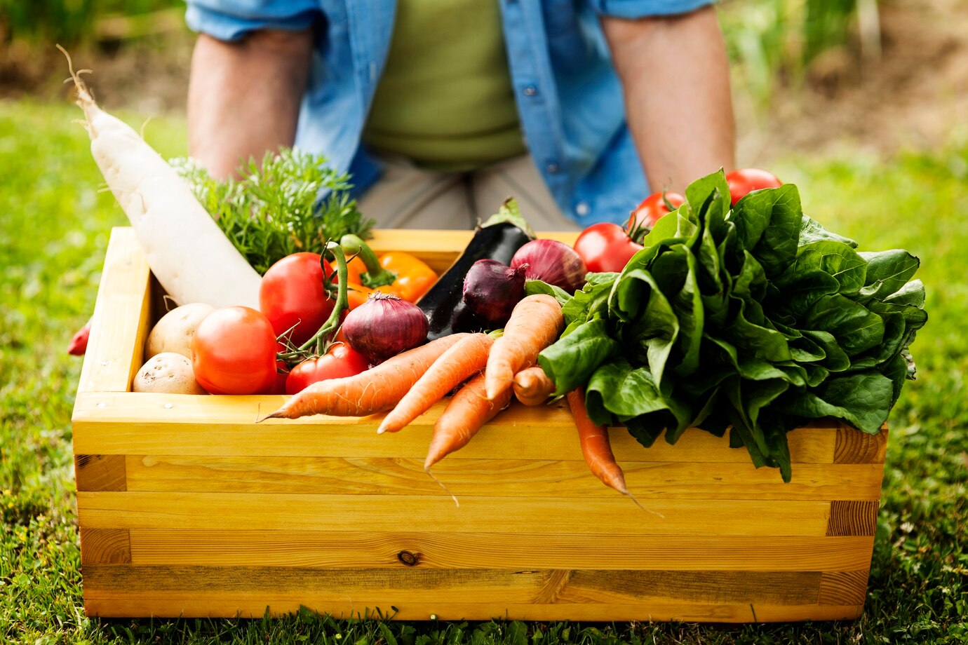 wooden-box-filled-fresh-vegetables_329181-8749